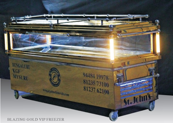 BLAZING GOLD VIP FREEZER